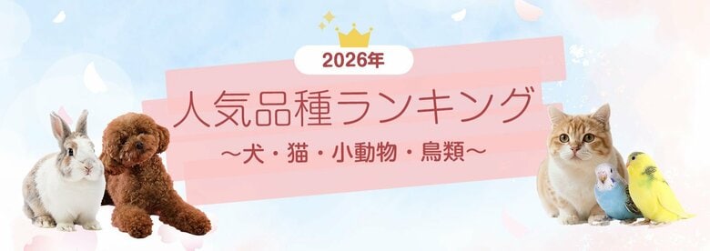 SBIプリズム少短【2026年度最新】　　　　　　　　　　　　　　犬・猫・小動物・鳥類 人気ランキング