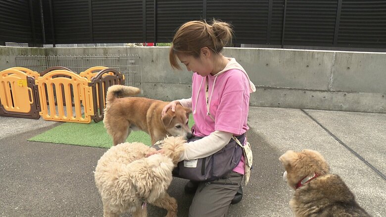 長崎ライフオブアニマルの地道な活動で、長崎市では10年以上殺処分ゼロ