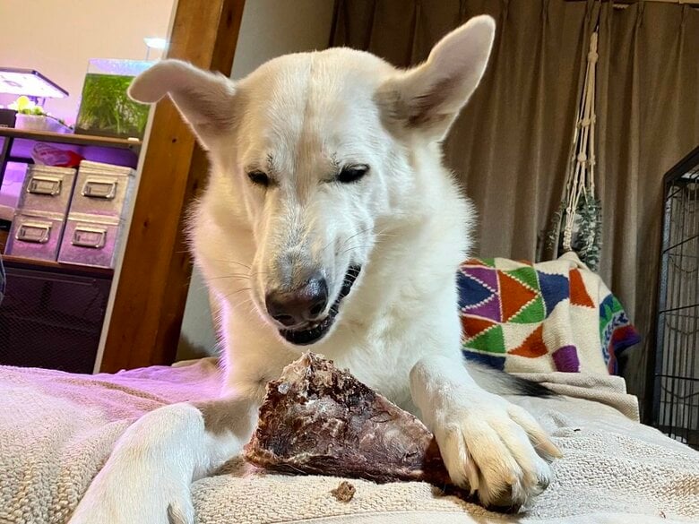 「うまい」とかみしめている