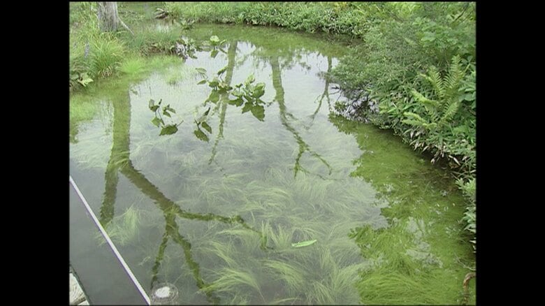 沼原湿原（栃木・黒磯市）