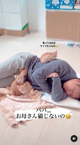 提供：oimo & yuzukiさん