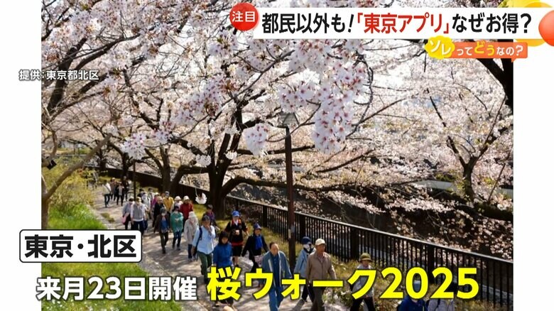 東京アプリのポイントの対象となる「桜ウォーク2025」