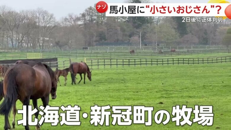 牧場で撮影された小さいおじさんが歩くような奇妙な映像