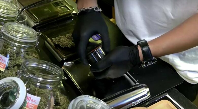 健康医療目的での大麻使用が解禁されたタイの大麻関連の店　2022年7月