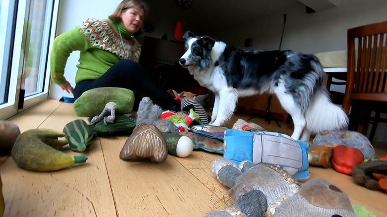 ハービーくんの飼い主アイリーンさん「大げさに喜び、大げさに褒めること」