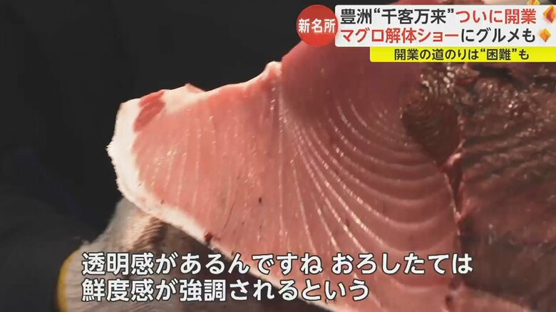 解体された50kgのマグロは約200人前