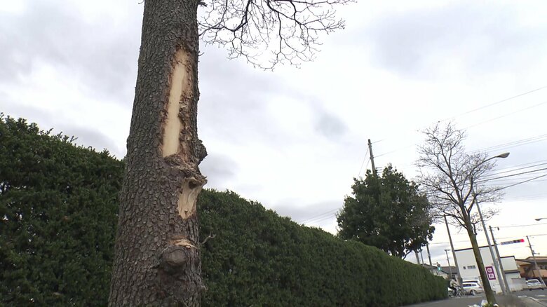 「わずか9歳の娘の心情を思うと心が張り裂けそうになります」