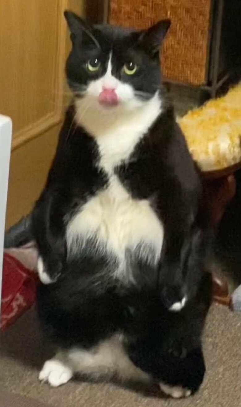 どっちしりとした立ち姿