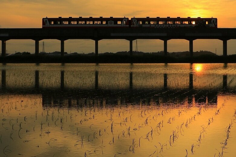 撮影：渡邉貴宣　提供：鹿島臨海鉄道