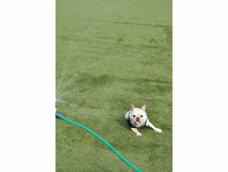 提供：むぎさん