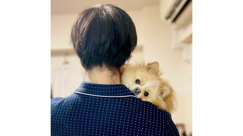 第二希望・旦那さんの肩越しに飼い主さんのもとへ来ようと様子を伺っている