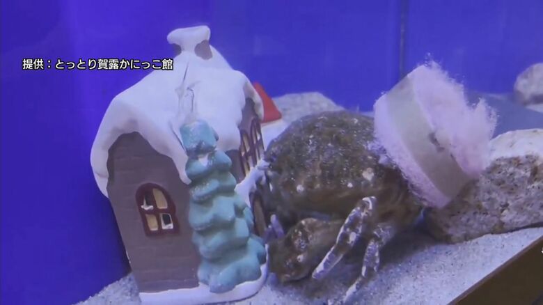 背中に「スポンジ」