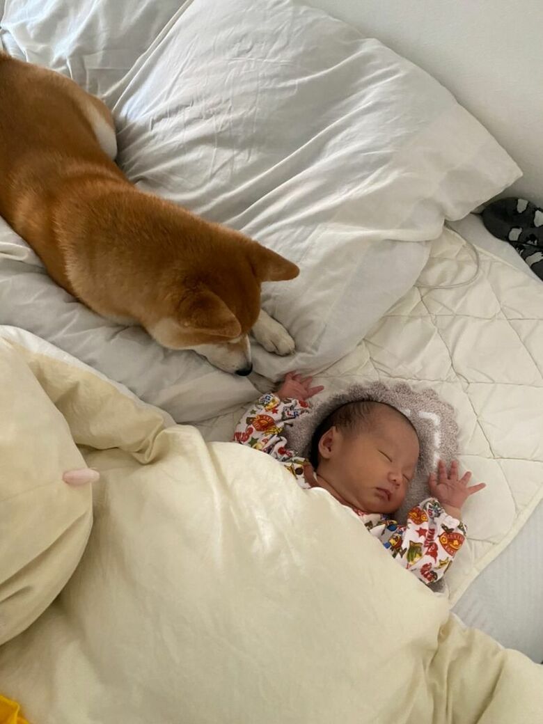 提供：torakichi602さん