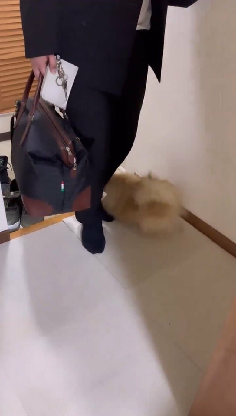 なごみちゃんの興奮は収まらない