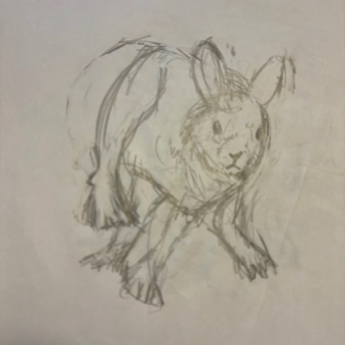 提供：櫻井京太郎さん