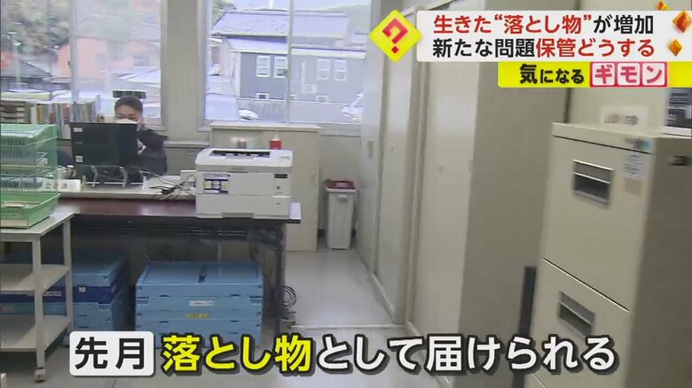 セキセイインコが届けられた長崎・佐世保市の警察署
