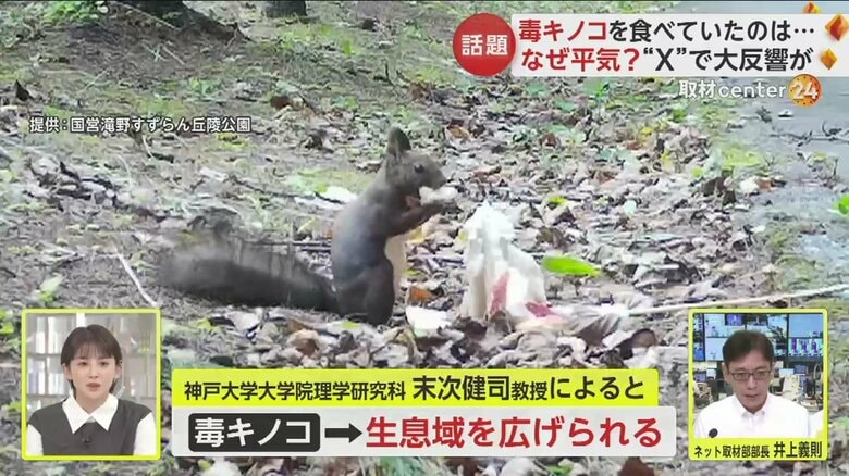 リスにとっては、食料が確保できるというメリットが