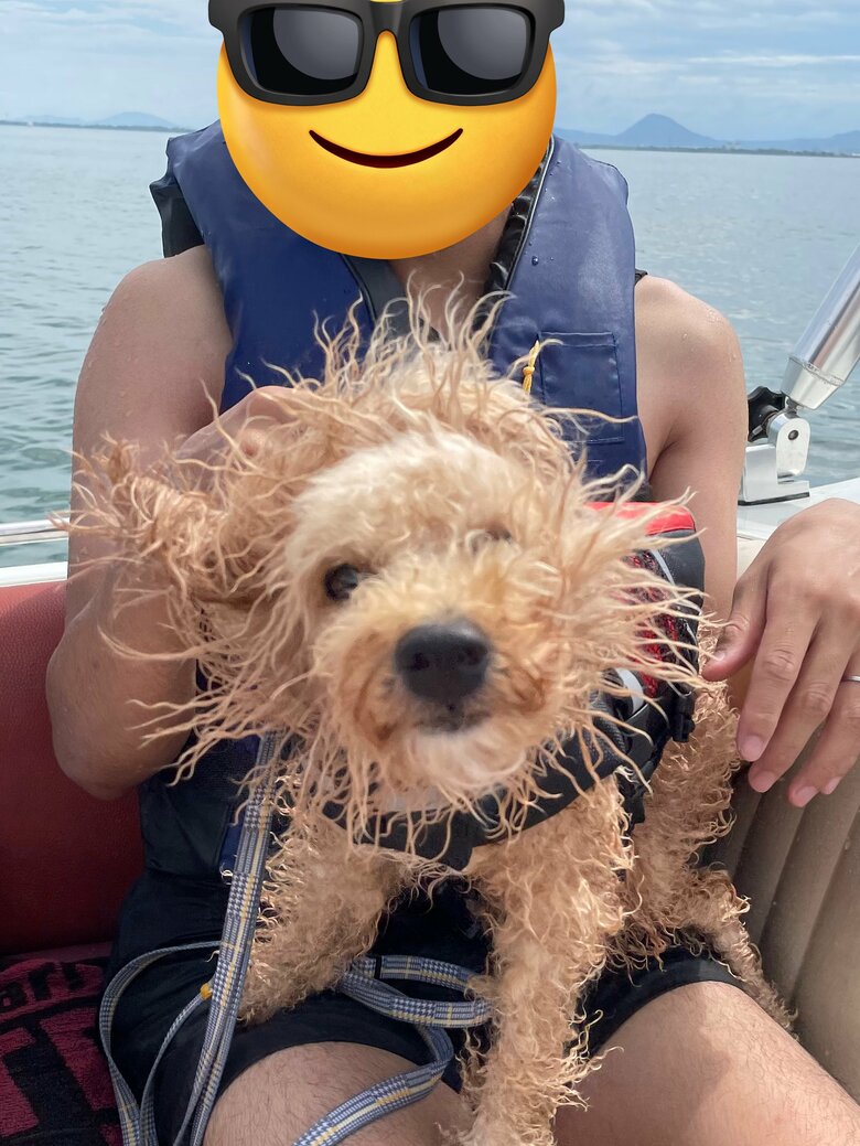 海でワイルドに