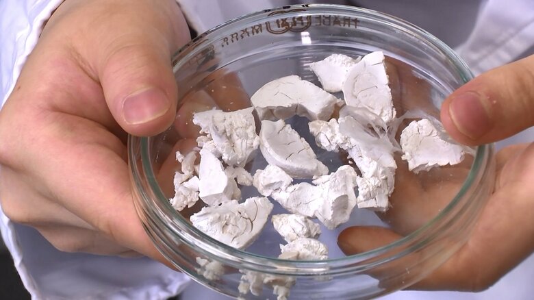 培養液から抽出されたプラスチック