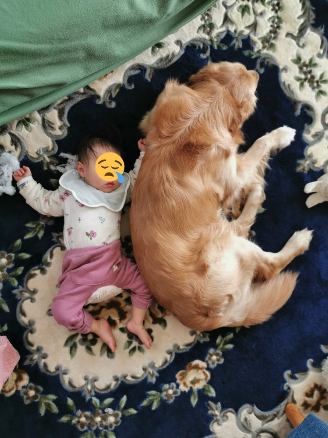 仲良しなふたり（提供：ふぉるてさん）