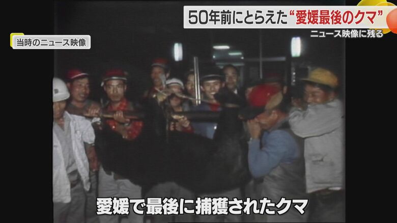 小田町で１９７２年に捕獲されたツキノワグマ