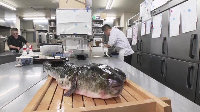 「福とら」が新たな魅力に