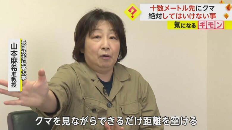 山本麻希准教授によると、「クマを見ながらできるだけ距離を空けること」が大切だという
