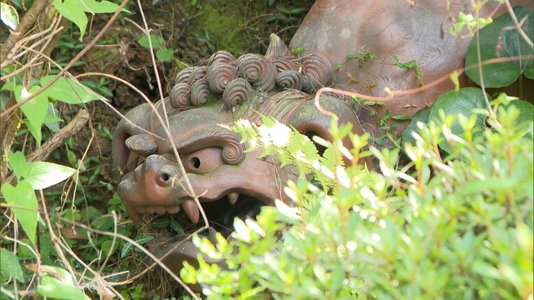 ”里帰り”する予定のシーサー（伊東市）