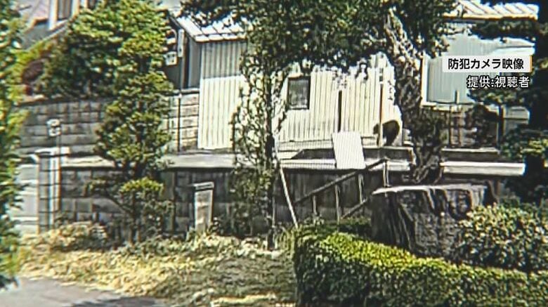 防犯カメラの映像（提供：視聴者）