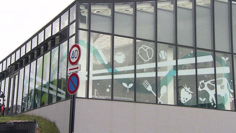 壁面に取り付けられたデザインラッピング