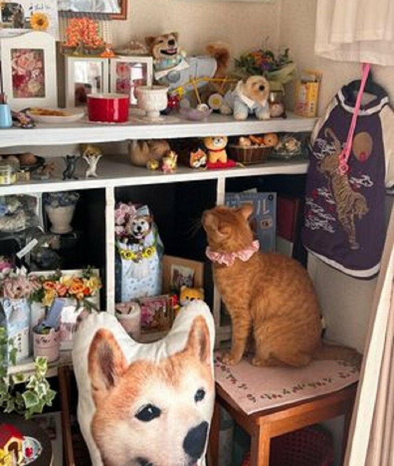 現在も毎朝エンくんの祭壇へ行くというちまきくん