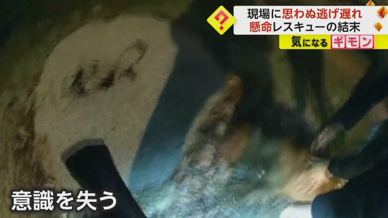 警察官と通りがかった男性が犬を安全な場所へ移動させる様子