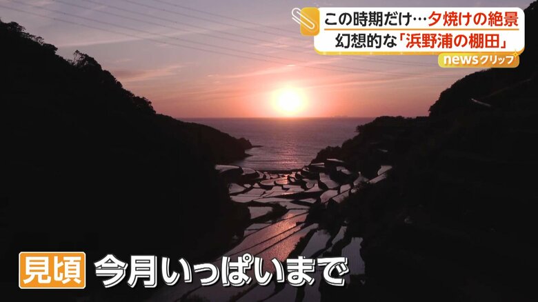 夕日を反射する棚田