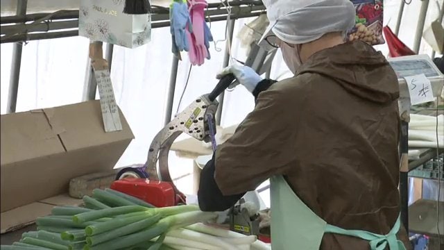 生育回復も全体の流通量が減っているので販売価格が高い