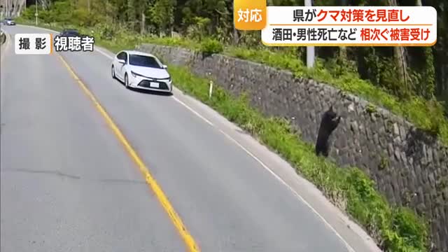 山形県 クマ対策を見直しへ 「特別警報」の設定を予定