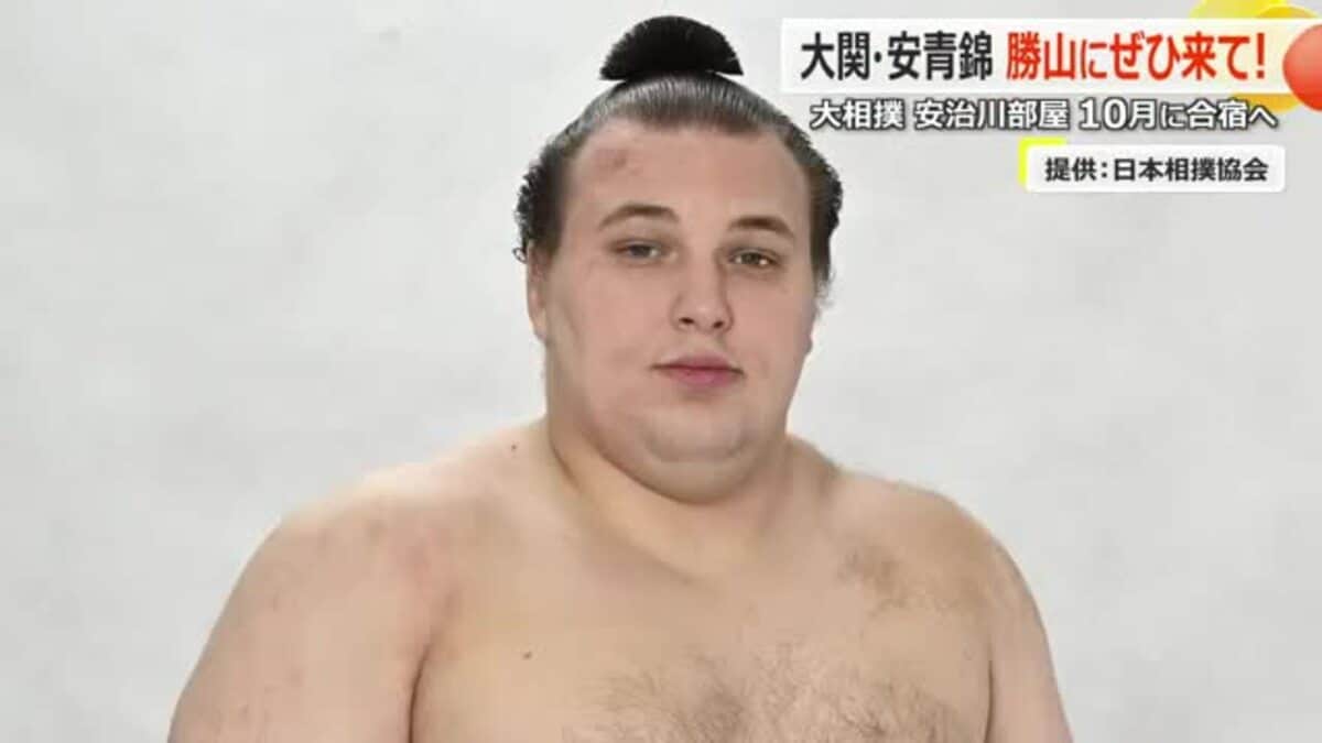 ウクライナ出身の大関・安青錦に会えるかも…この秋、安治川部屋が勝山
