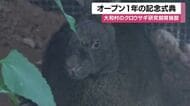 繁殖成功のルリカケス親子も　奄美大島「アマミノクロウサギミュージアム」がオープン1年で4万人超が来場