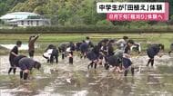 中学生が「田植え」体験　泥の「柔らかいところと固いところ」感じながら丁寧に植える作業　順調なら８月下旬に稲刈りも　和歌山・新宮市