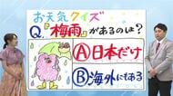 6月18日（木）宮崎の天気