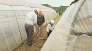 クマ襲撃か、民家敷地内にカモシカの死がい　住人が動物のうなり声聞く　岩手・一関市