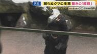「眠らないクマ」温暖化で冬眠短くなり”食料ある限り眠らない”とも「空白地帯」に“進撃”理由は「高齢化で住民減り柿などエサが豊富に放置された状況」か