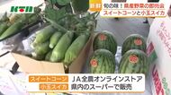 甘くてみずみずしい！スイートコーンと小玉スイカの即売会　「新鮮なものがすぐ食べられる」と好評