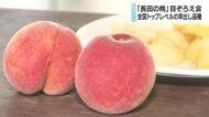 みずみずしい桃に仕上がり　露地栽培で全国トップレベルの早出し品種「長田の桃」　出荷前に生産者が目ぞろえ会