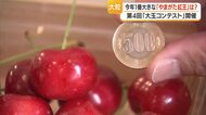 大玉品種「やまがた紅王」“一番の大玉”を競う！　500円玉より大きいサクランボを上野駅で販売　山形