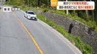 山形県・クマ対策を見直しへ 「特別警報」の設定予定　山形