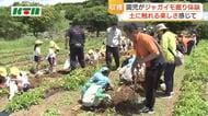 長崎県「あぐりの丘」で子供たちがジャガイモ収穫体験