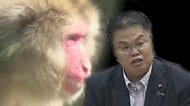 公園で飼育のサル頭数削減めぐり便宜…現金100万円受け取った疑いで市議会前議長を逮捕　鳥取・米子市