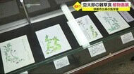 食糧難の戦時下 雑草を頻繁に食べた医学者の植物画展 静岡・伊…
