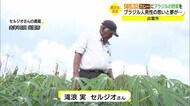 ブラジルでおなじみの野菜を日本の食卓に 高校生の力を借りてセルジオさんが奮闘(島根・出雲市)