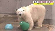 特製ケーキで祝福 ホッキョクグマの“豪太”18歳に 秋田・男鹿市